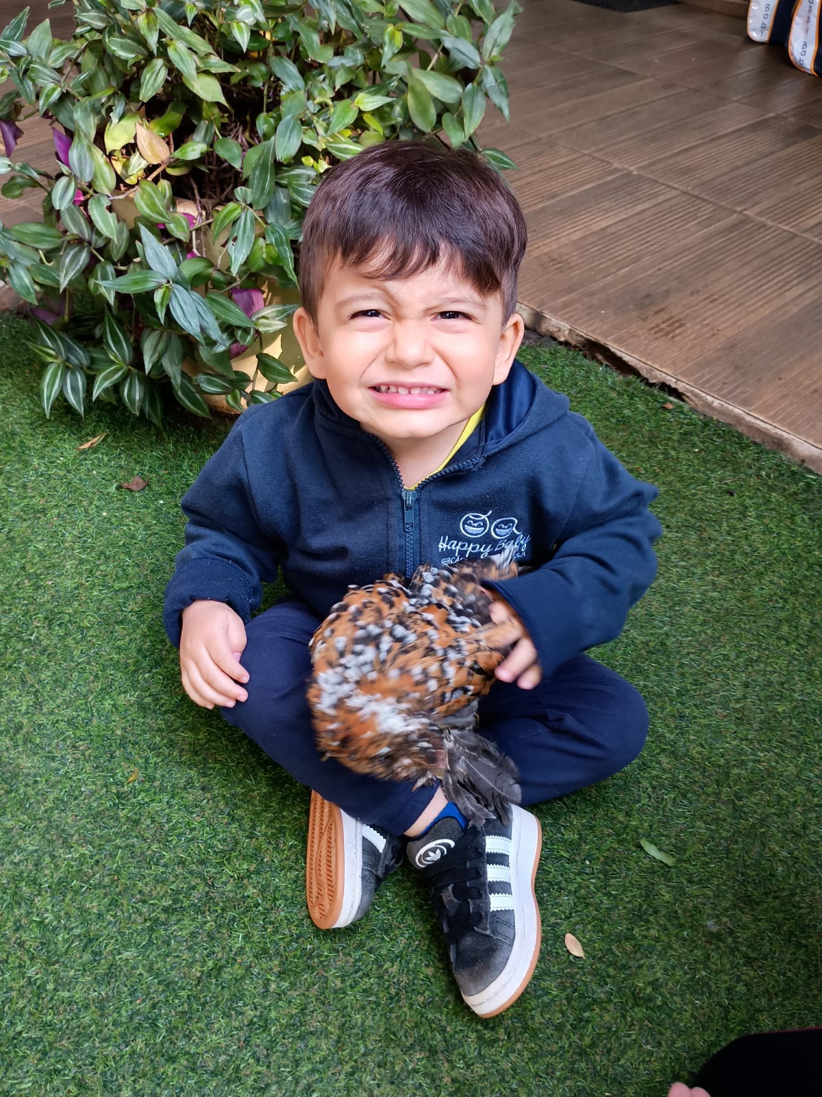 04c3bd7d-0513-4e39-906e-f70e5c1585e7